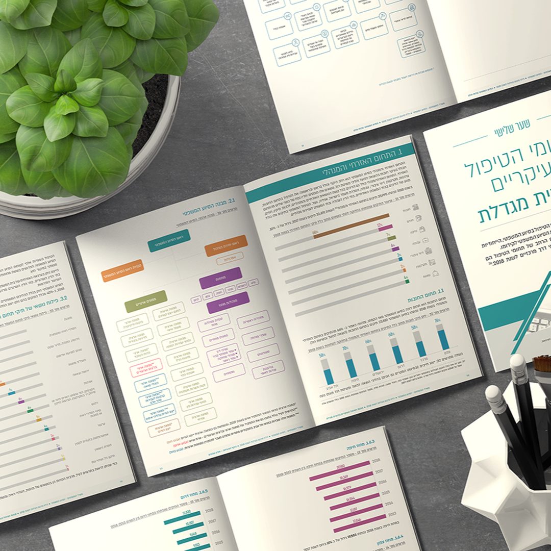 Design of infographic reports for government ministries